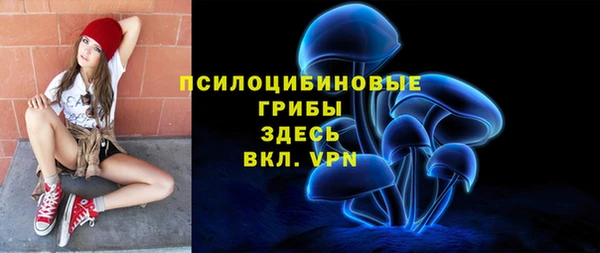 a pvp Арсеньев