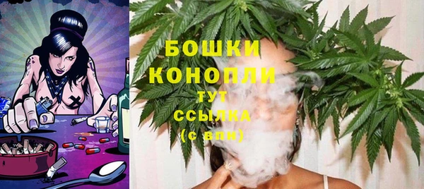 ПСИЛОЦИБИНОВЫЕ ГРИБЫ Аркадак