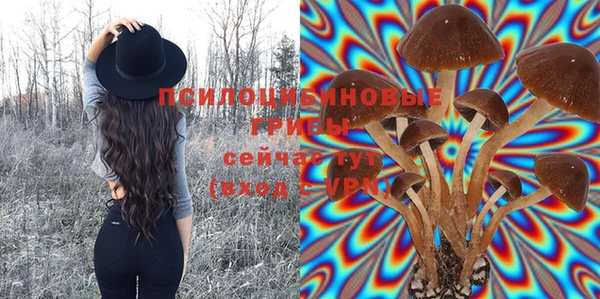 молекула духа Армянск