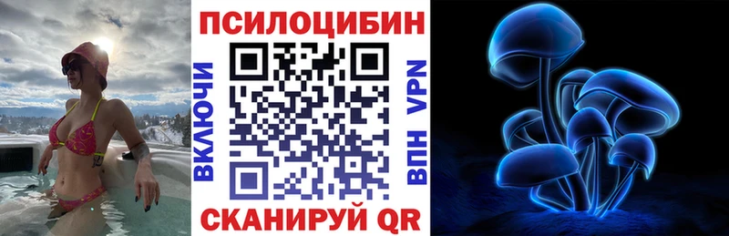 Галлюциногенные грибы Psilocybe  Порхов 